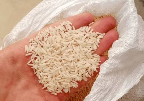 قیمت برنج شمالی هاشمی با کیفیت ارزان + خرید عمده